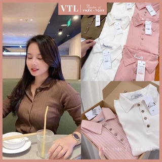 Áo polo dài tay tăm cúc gỗ cổ đức