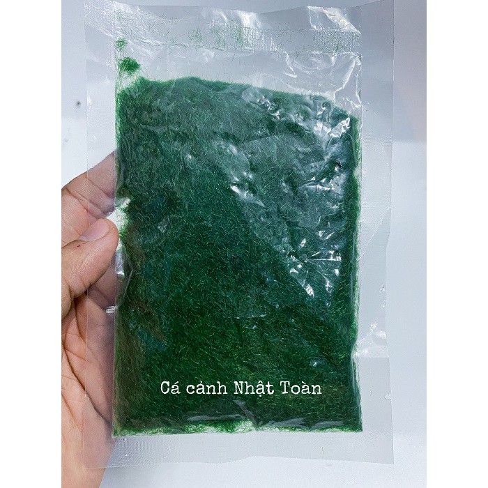 GÓI RÊU GIẢ TRANG TRÍ TIỂU CẢNH GÓI 30G