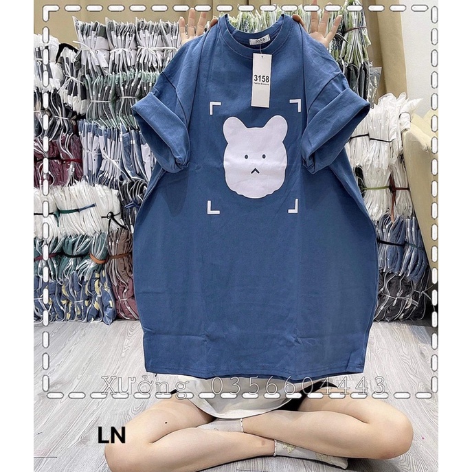 Áo phông mặt gấu mắt vuông DA6