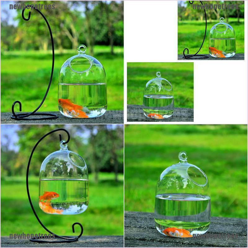 Bình Hoa Thủy Tinh Treo Tường Trang Trí Nhà Cửa DIY