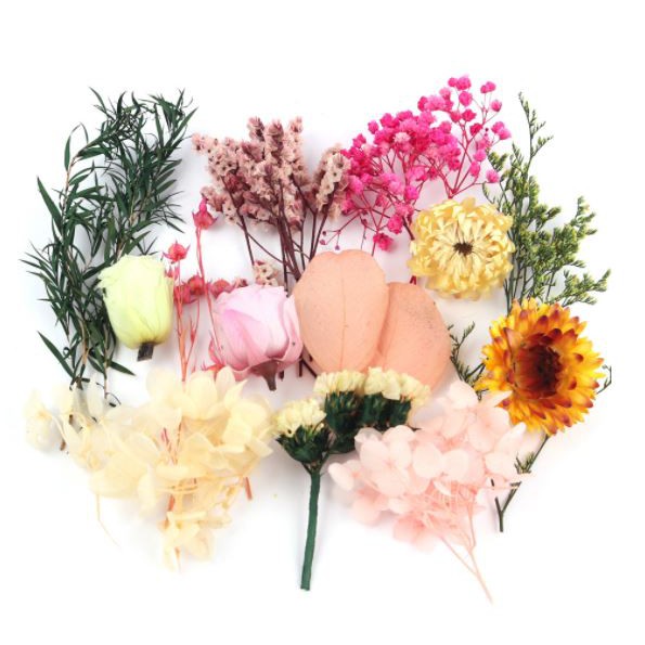 Gói hoa khô (17 mẫu)