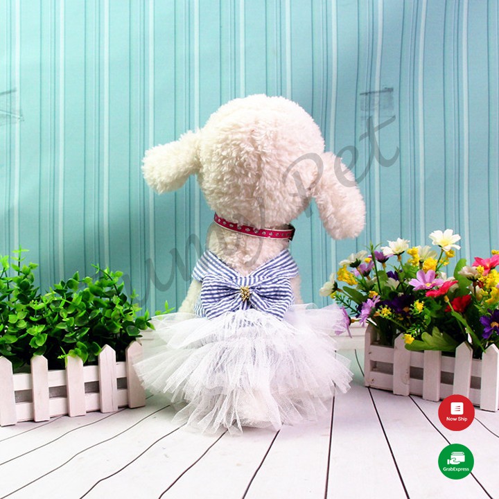 Đầm váy công chúa cho chó mèo, đầm thiết kế xinh xắn thời trang cho thú cưng