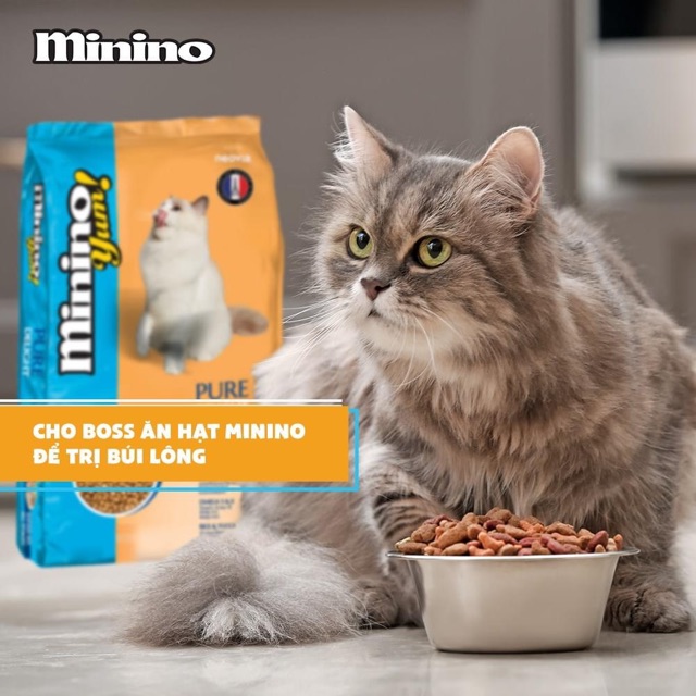 Hạt cho mèo Minino yum 350g, thức ăn khô cho mèo lớn mèo con nhỏ mọi lứa tuổi Con Mèo Xiêm