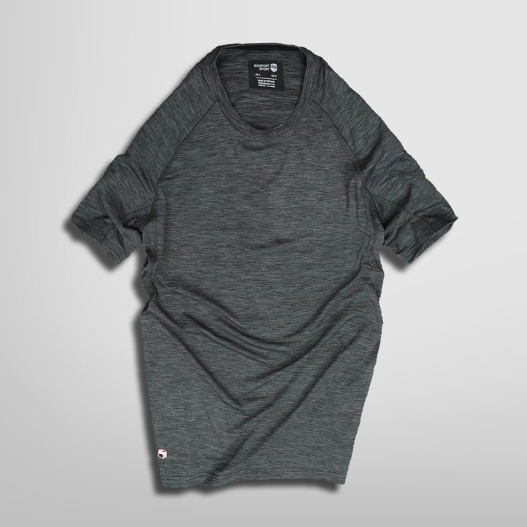 Áo Thun Nam Thể Thao Mặc Ở Nhà Cổ Tròn Vải Poly Cao Cấp Basic Áo Phông Nam Chạy Bộ Tập Gym - Big Sport, BS12 | BigBuy360 - bigbuy360.vn
