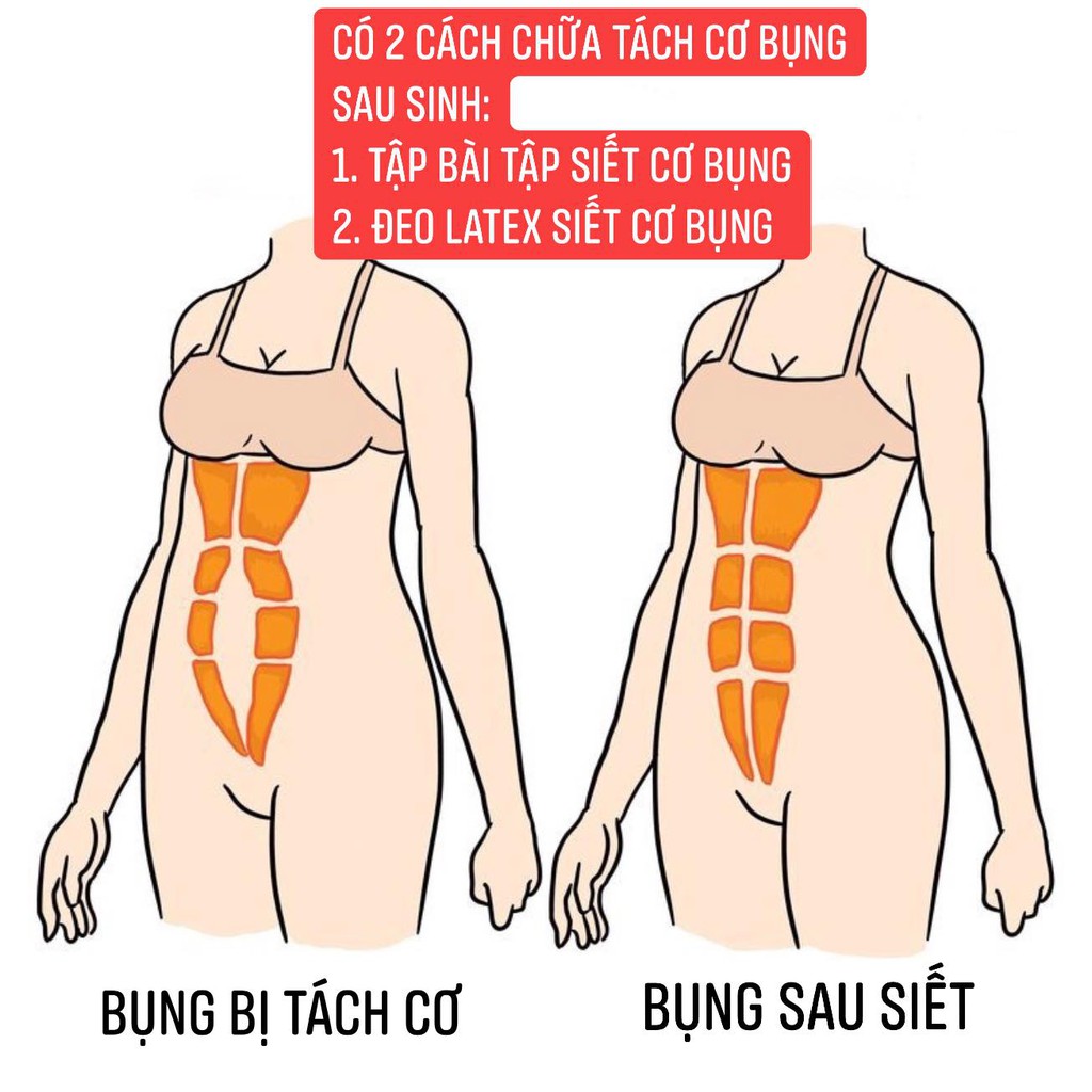 Đai Nịt Bụng Latex 25 Xương Chính Hãng HYLAP, Gen Nịt Bụng Sau Sinh