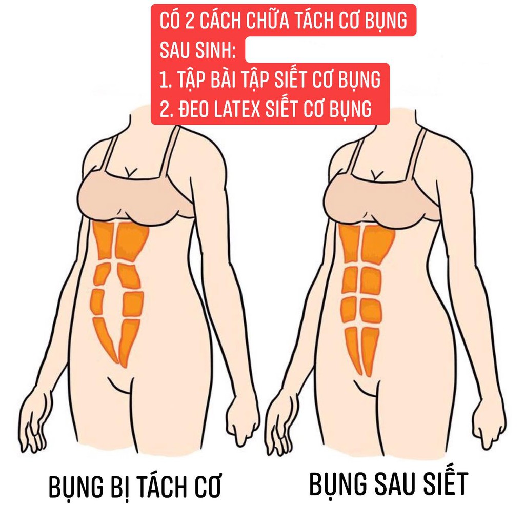 Gen nịt bụng Latex dáng chuẩn - Đai nịt bụng eo thon Hy Lạp chuẩn nhập khẩu