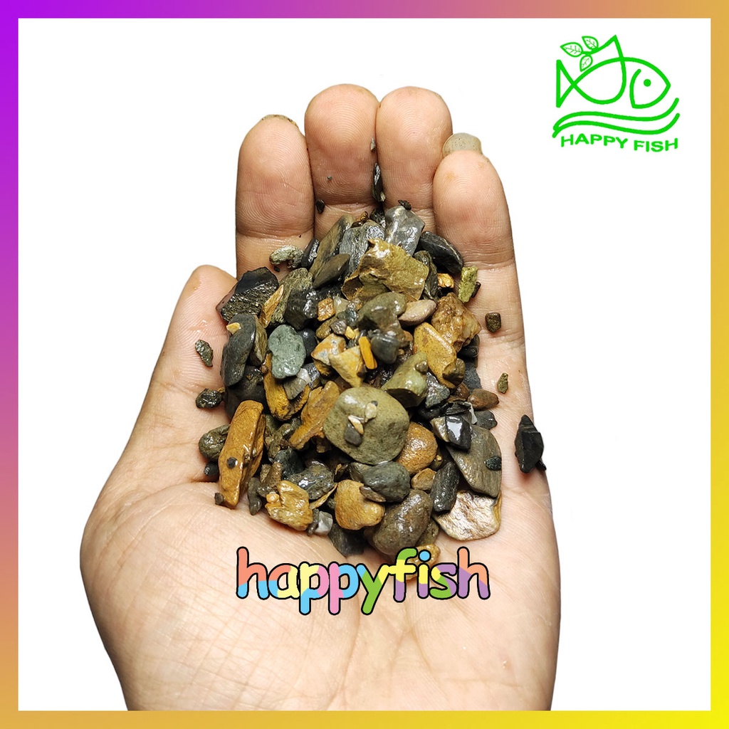 Sạn Suối Trải Nền Bể Cá Thủy Sinh  - Túi 1kg