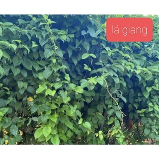 (chỉ giao TPHCM) Lá giang nấu canh chua 200gr