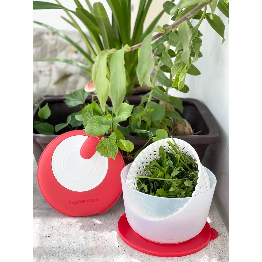 Dụng cụ quay rau Spinning Chef