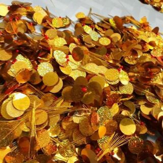 Lá Kim Tiền Đồng Tiền tròn vàng
