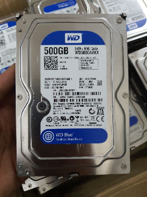 HDD 500G WD tháo máy Đồng Bộ BH 12 tháng | WebRaoVat - webraovat.net.vn