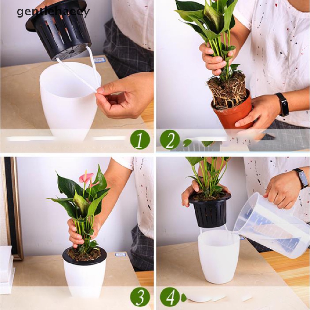 Chậu Trồng Cây Hấp Thụ Nước Tự Động Tiện Dụng