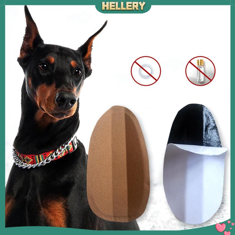 Miếng Dán Đứng Cố Định Tai Chó Đứng