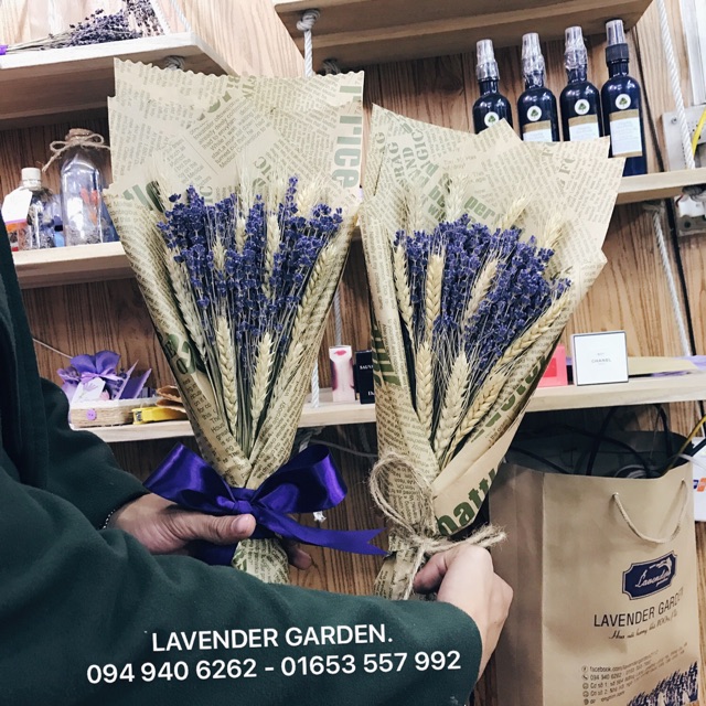 Bó hoa lavender 180k