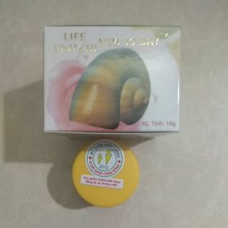Kem ốc sên dưỡng trắng da ngăn ngừa nám 18g( new today life linhchi)