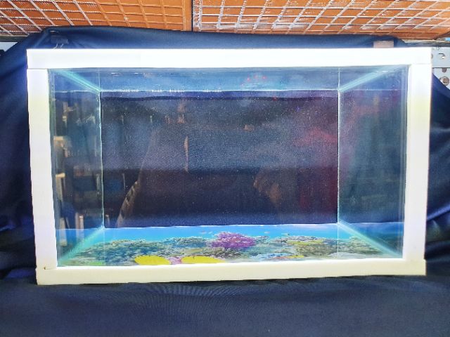 BỂ CÁ 34X20X20CM KÍNH DÀY 5 LY KHÔNG KIỀNG DÁN TRANH SẴN