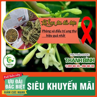 Lá Đu Đủ Đực Khô 100g - Thảo Dược Thanh Bình