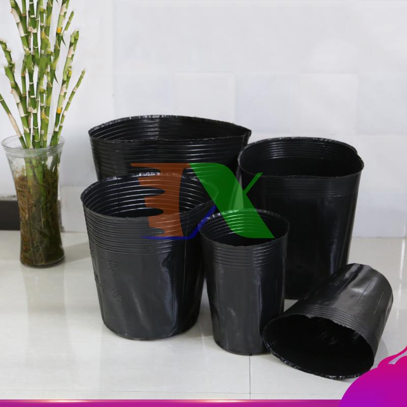 Combo 4.000 cái Bầu nhựa ươm cây BHS, Bầu Hoa Sen ( Kích thước : 15*13 cm)