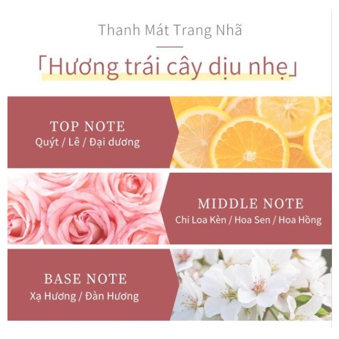 [Combo 3 aha HỒNG] Dưỡng tóc Dream Trend cho tóc nhuộm màu