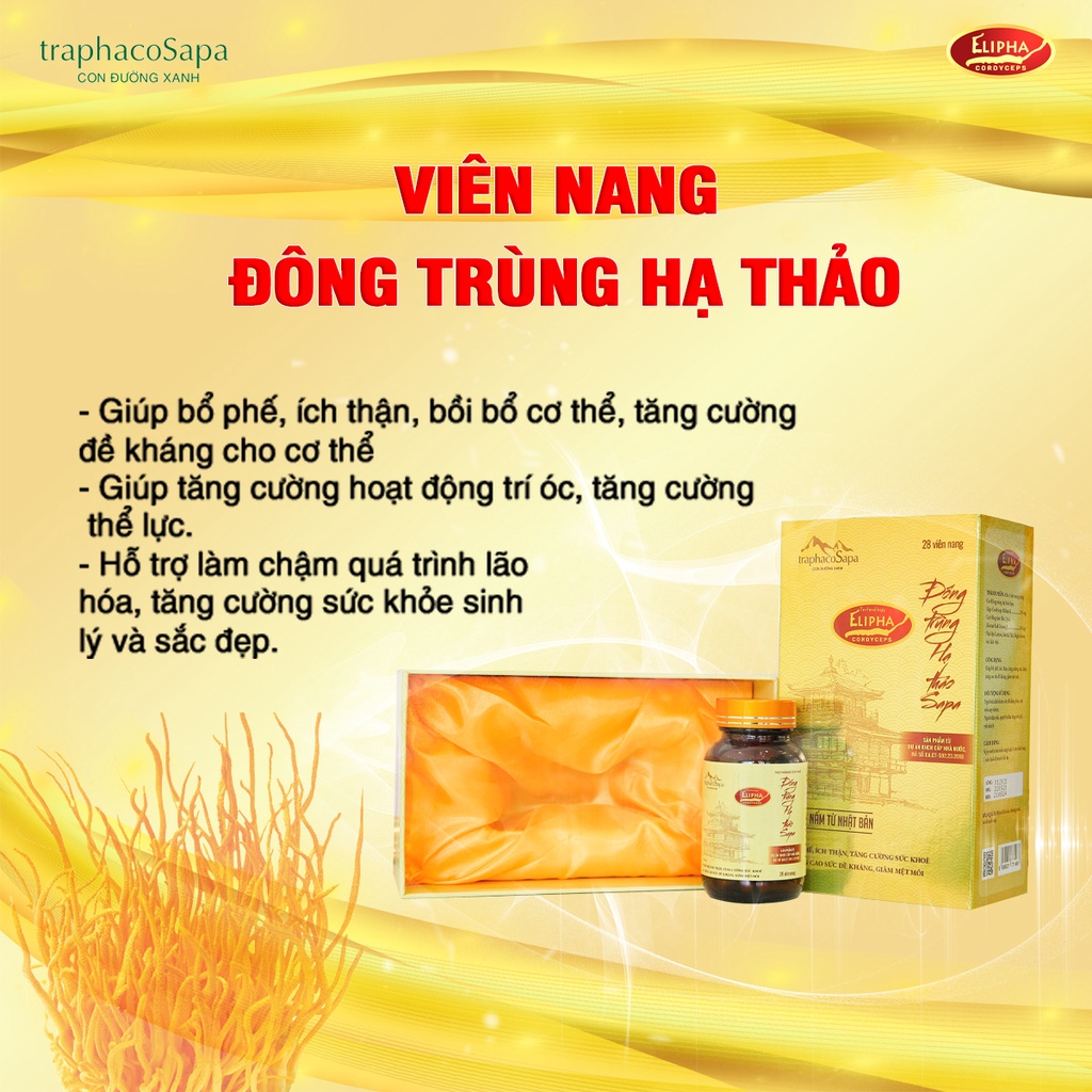 Viên nang đông trùng hạ thảo Traphaco Sapa BCA54