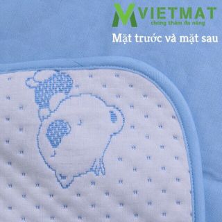 Tấm lót Vietmat các size