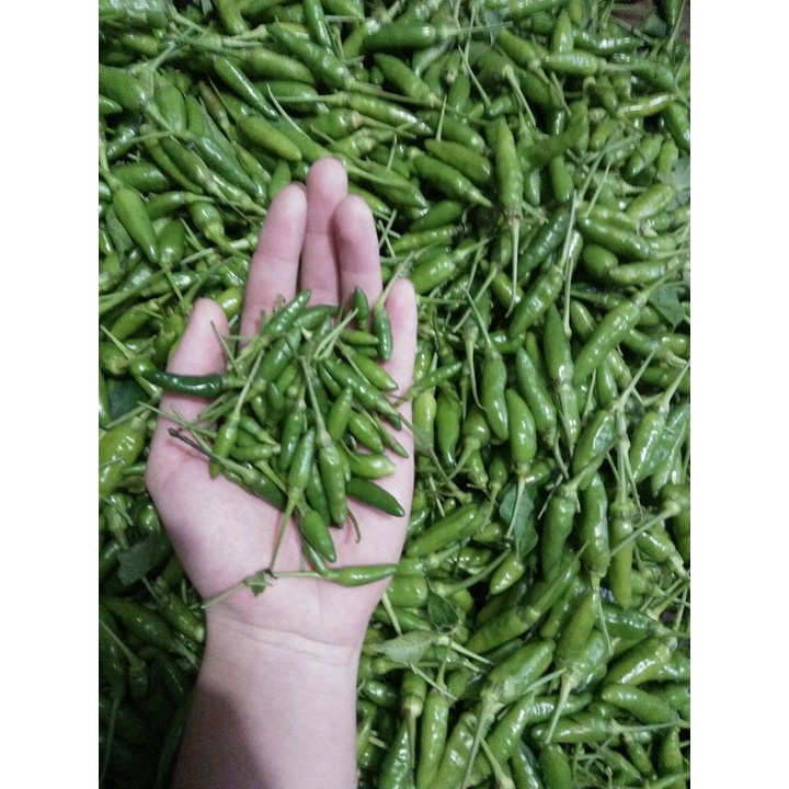 Ớt xiêm xanh 1kg