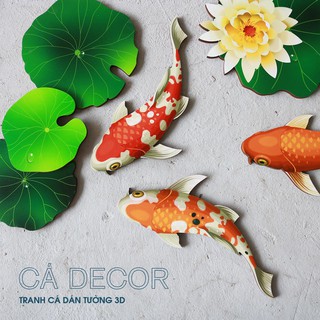 SET CÁ KOI DECOR NHÀ CỬA
