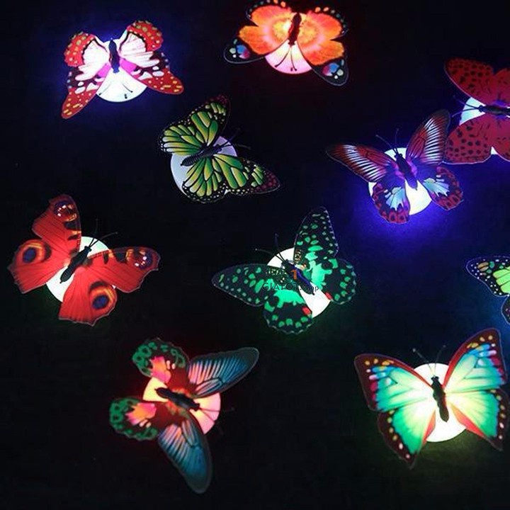 Đèn ngủ led bướm phản quang gắn tường hoặc bàn phòng ngủ, khach sạn, xe hơi