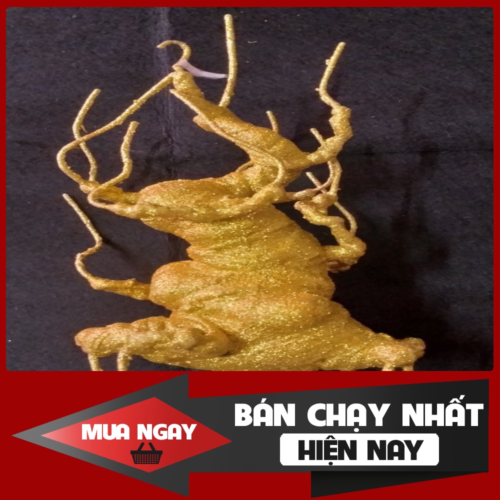Gốc bonsai, gốc kim tuyến. gốc mai đào, thân cây bonsai làm hoa tết