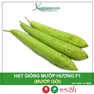 Hạt Giống Mướp Hương F1 Phú Nông Gói 1 Gram