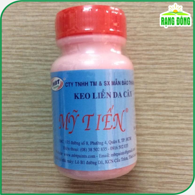 Keo Liền Da Cây Mỹ Tiến 100gr - Hạt giống Rạng Đông