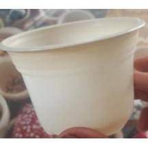 chậu nhựa ươm |FREESHIP  SIÊU XINH | LỖI 1 ĐỔI 1