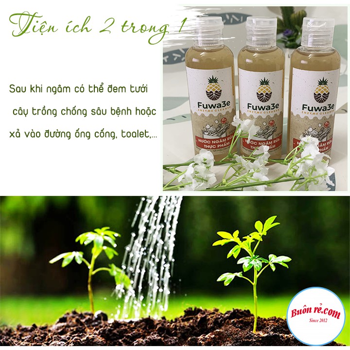 Nước ngâm rửa thực phẩm Fuwa3e 100ml an toàn vệ sinh thực phẩm Buôn Rẻ 01296
