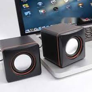 Loa vi tính di động 101C