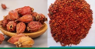 Chi tử / hạt dành dành