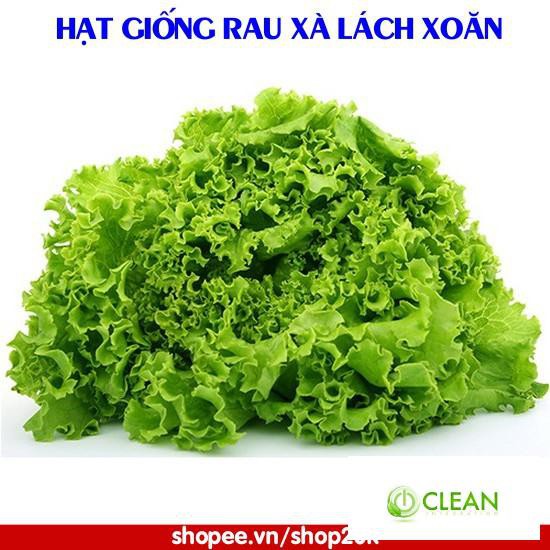 Hạt giống Rau xà lách xoăn (3g)