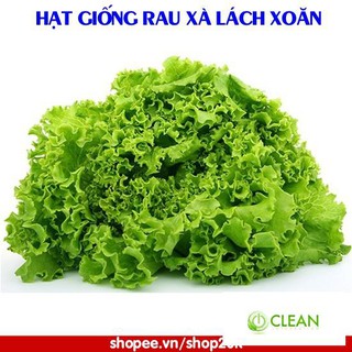 Hạt giống Rau xà lách xoăn