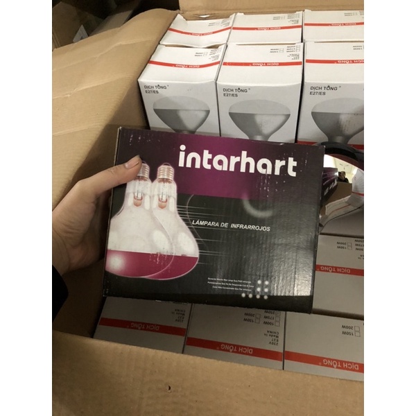 Bóng úm Intarhart 100w