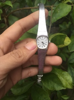 Đồng hồ nữ hiệu citizen Nhật