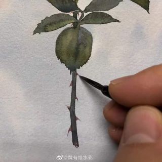 Bút câu tuyến lông chồn lang hào xuất phong dài