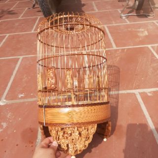 Lông khuyên tích bát tiên