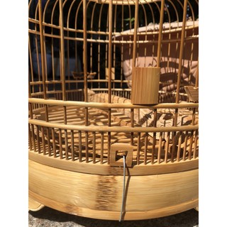 Lồng cu gáy Tre già