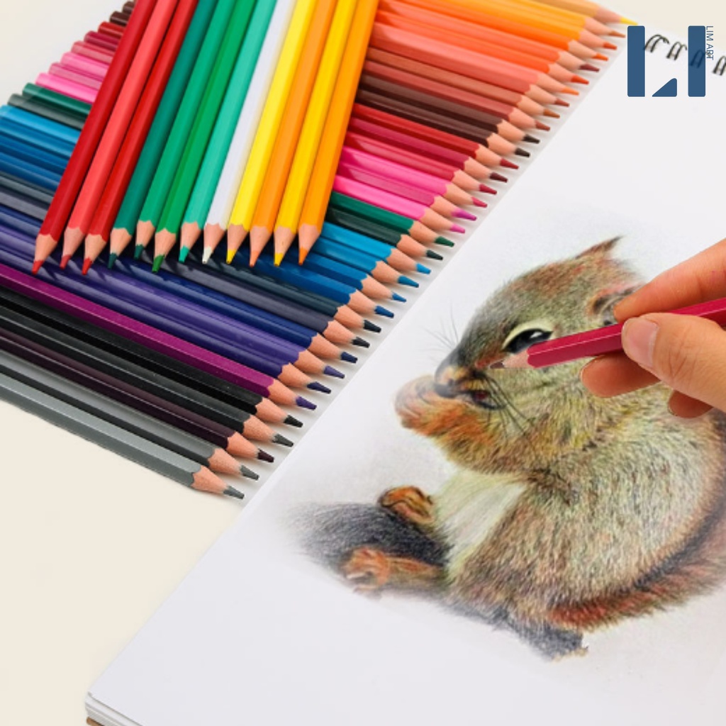 Hộp bút chì 12/18/24 màu