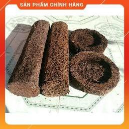 DỚN TRỤ TRỒNG LAN