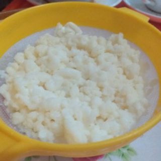 NẤM KEFIR SỮA CHUA HY LẠP (NẤM TUYẾT)