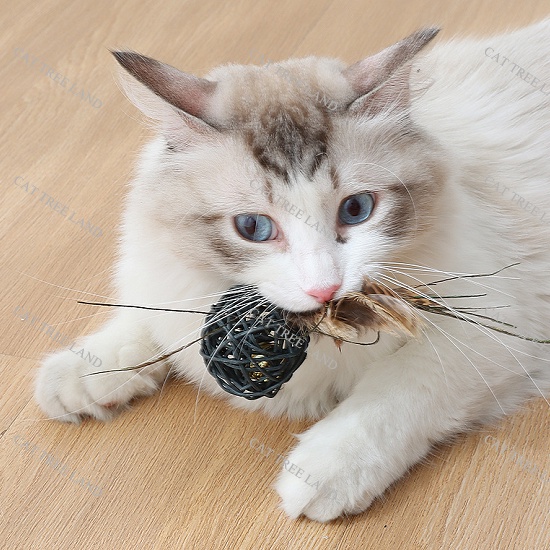 ĐỒ CHƠI CHÓ MÈO VỜN BẮT, BÓNG ĐAN BẰNG MÂY CÓ LÔNG VŨ,CHUÔNG LỤC LẠC