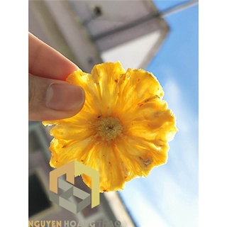 Thơm sấy muối ớt