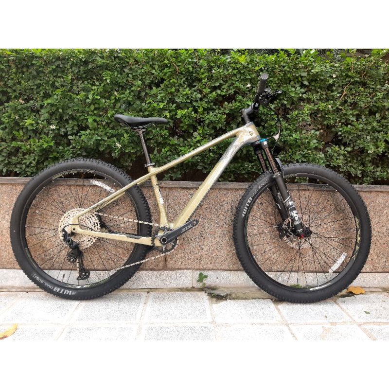 xe đạp địa hình carbon cao cấp