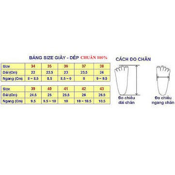 Giày cao gót nữ quai trong size 33 đến 44