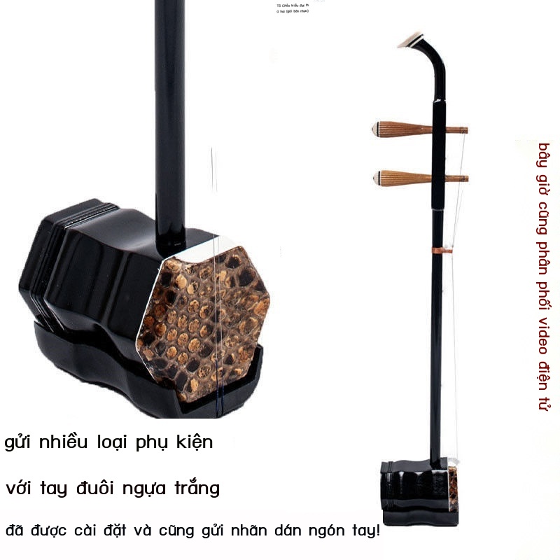 ETô Châu nhạc cụ quốc gia đàn nhị người lớn trẻ em nói chung mới bắt đầu tập đàn nhị đàn piano gửi hướng dẫn bản nhạc cu